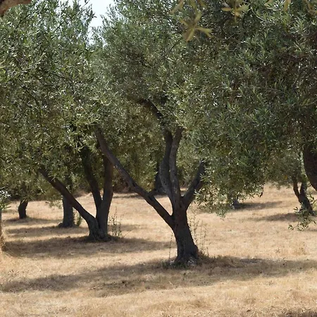 Tatil Evi Casa Mare E Tramonto
